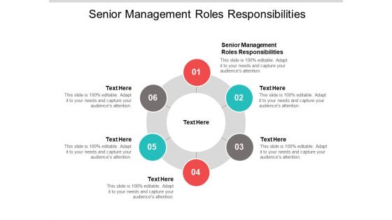 Senior Management Roles Responsibilities Ppt PowerPoint Presentation Outline Guide Cpb