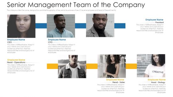 Senior Management Team Of The Company Ppt Summary Background PDF
