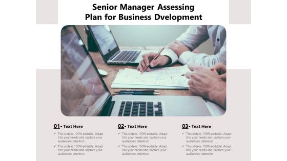 Senior Manager Assessing Plan For Business Dvelopment Ppt PowerPoint Presentation Inspiration Picture PDF