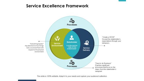 Service Excellence Framework Ppt PowerPoint Presentation Gallery Picture