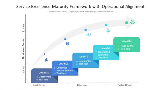 Service Excellence Maturity Framework With Operational Alignment Ppt PowerPoint Presentation Icon Skills PDF