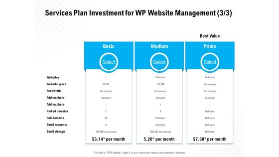 Services Plan Investment For WP Website Management Basic Ppt PowerPoint Presentation File Slides