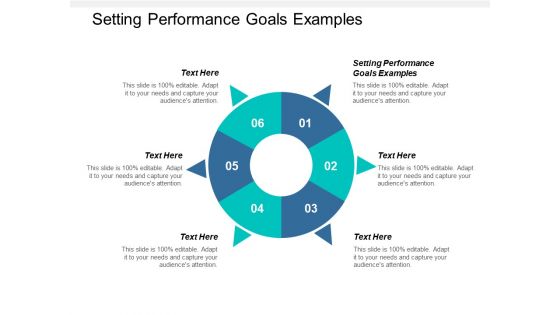 Setting Performance Goals Examples Ppt PowerPoint Presentation Icon Designs Download Cpb