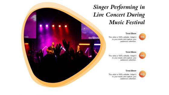 Singer Performing In Live Concert During Music Festival Ppt PowerPoint Presentation Infographics Maker PDF