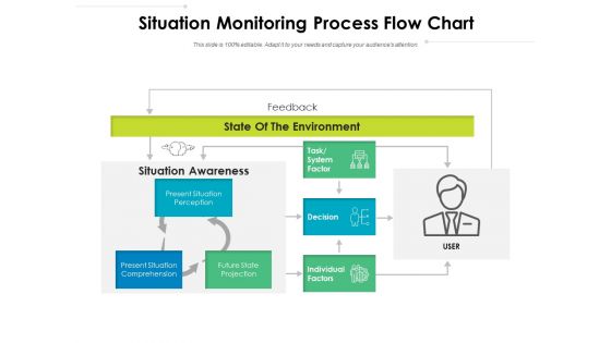 Situation Monitoring Process Flow Chart Ppt PowerPoint Presentation Pictures Show PDF