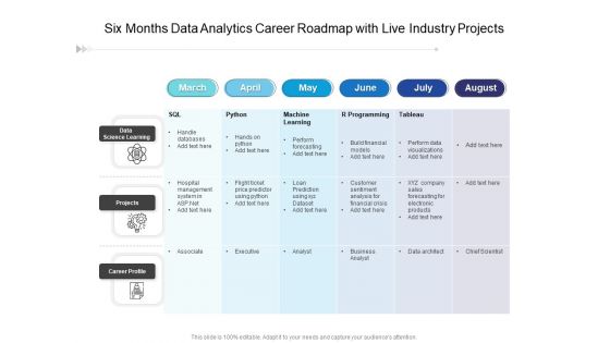 Six Months Data Analytics Career Roadmap With Live Industry Projects Demonstration