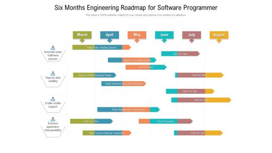 Six Months Engineering Roadmap For Software Programmer Infographics