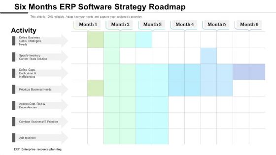 Six Months Erp Software Strategy Roadmap Elements
