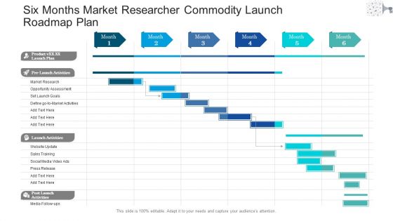 Six Months Market Researcher Commodity Launch Roadmap Plan Mockup Six Months Market Researcher Commodity Launch Roadmap Plan Mockup
