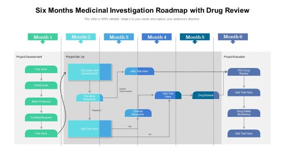 Six Months Medicinal Investigation Roadmap With Drug Review Infographics Six Months Medicinal Investigation Roadmap With Drug Review Infographics