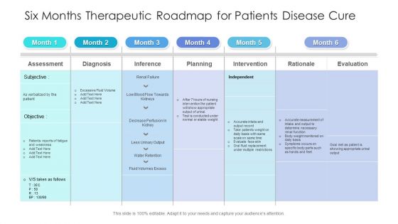 Six Months Therapeutic Roadmap For Patients Disease Cure Background