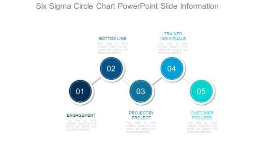 Six Sigma Circle Chart Powerpoint Slide Information