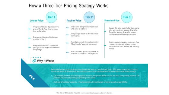 Smart Software Pricing Strategies How A Three Tier Pricing Strategy Works Ppt Infographic Template Example Introduction PDF