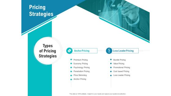 Smart Software Pricing Strategies Pricing Strategies Ppt File Backgrounds PDF