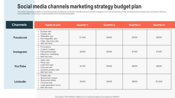 Social Media Channels Marketing Strategy Budget Plan Slides PDF Social Media Channels Marketing Strategy Budget Plan Slides PDF