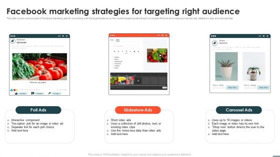 Social Networks Marketing Campaign Facebook Marketing Strategies For Targeting Right Audience Formats PDF