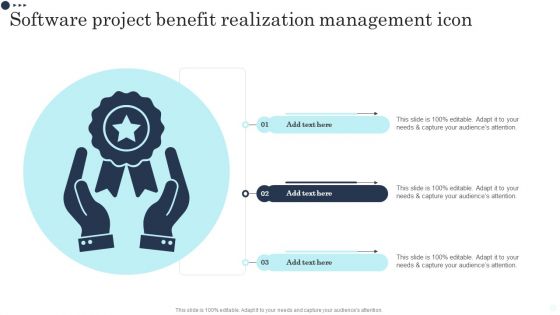 Software Project Benefit Realization Management Icon Brochure PDF