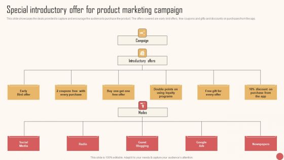 Special Introductory Offer For Product Marketing Campaign Summary PDF