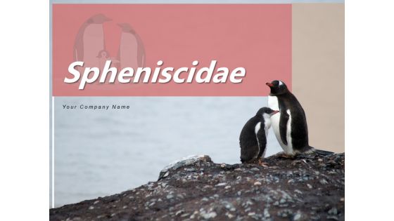 Spheniscidae Aquatic Animal Brown Penguin Ppt PowerPoint Presentation Complete Deck