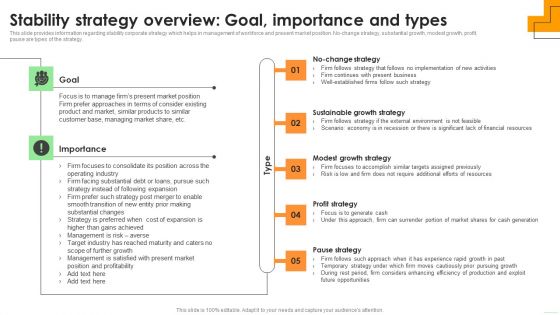 Stability Strategy Overview Goal Importance And Types Brochure PDF