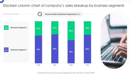 Stacked Column Chart Of Companys Sales Breakup By Business Segments Rules PDF