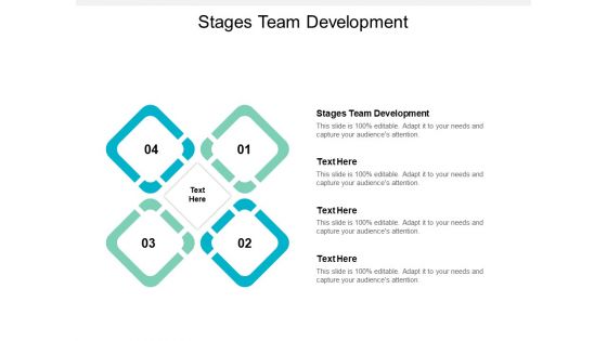 Stages Team Development Ppt PowerPoint Presentation Styles Infographics Cpb
