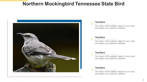 State Of Tennessee Tourist Destination Ppt PowerPoint Presentation Complete Deck With Slides