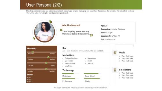 Steps For Successful Brand Building Process User Persona Goals Demonstration PDF
