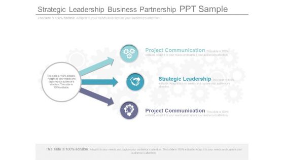 Strategic Leadership Business Partnership Ppt Sample