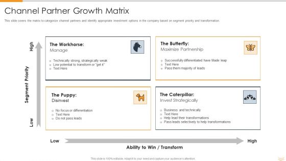 Strategic Partnership Management Plan Channel Partner Growth Matrix Icons PDF