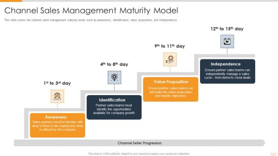 Strategic Partnership Management Plan Channel Sales Management Maturity Model Structure PDF