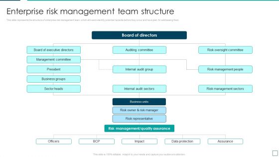 Strategic Risk Management And Mitigation Plan Enterprise Risk Management Team Structure Template PDF