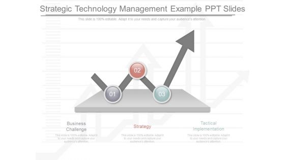 Strategic Technology Management Example Ppt Slides