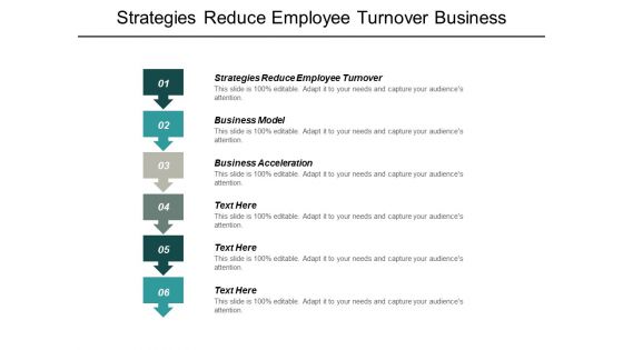 Strategies Reduce Employee Turnover Business Model Business Acceleration Ppt PowerPoint Presentation Professional Deck