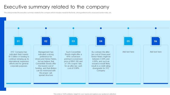 Strategy To Raise Funds Executive Summary Related To The Company Graphics PDF