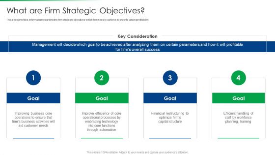 Strawman Project Action Plan What Are Firm Strategic Objectives Clipart PDF
