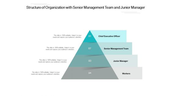 Structure Of Organization With Senior Management Team And Junior Manager Ppt PowerPoint Presentation Slides Diagrams PDF