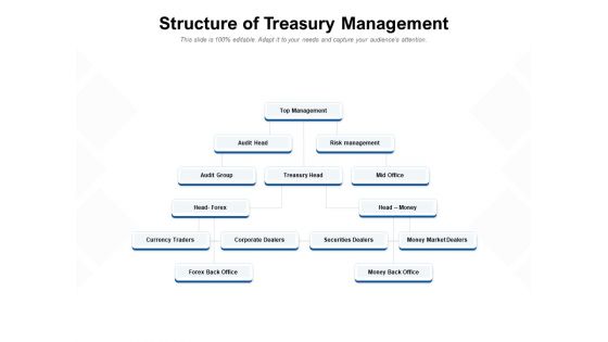 Structure Of Treasury Management Ppt PowerPoint Presentation Summary Slide Download