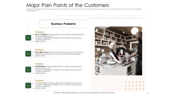 Substitute Financing Pitch Deck Major Pain Points Of The Customers Guidelines PDF