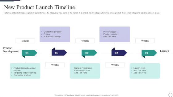 Successful Brand Development Plan New Product Launch Timeline Structure PDF