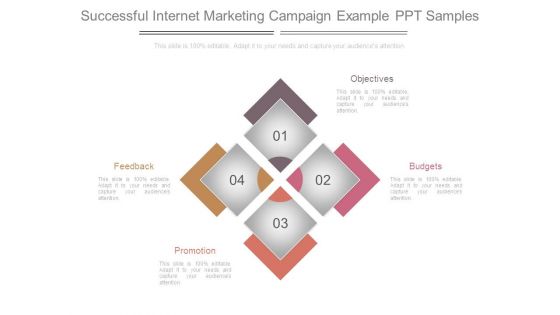 Successful Internet Marketing Campaign Example Ppt Samples