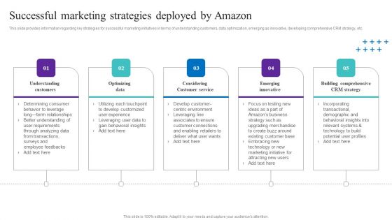 Successful Marketing Strategies Deployed By Amazon Elements PDF