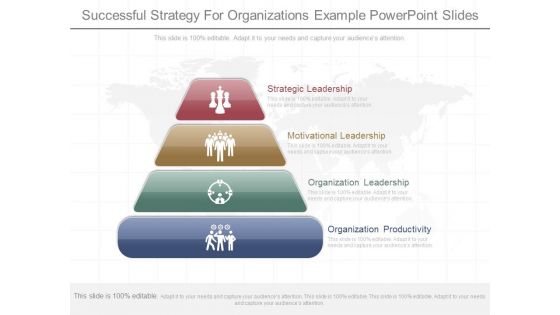 Successful Strategy For Organizations Example Powerpoint Slides