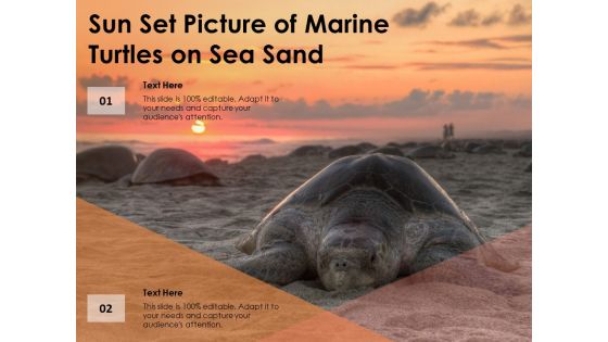 Sun Set Picture Of Marine Turtles On Sea Sand Ppt PowerPoint Presentation Model Example PDF