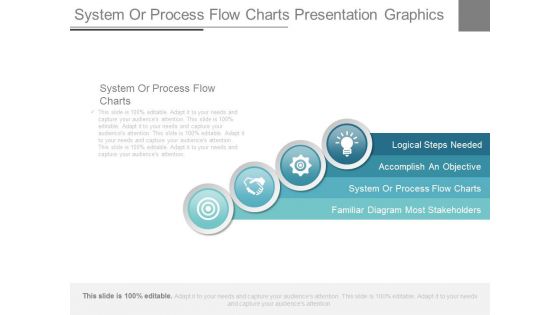 System Or Process Flow Charts Presentation Graphics