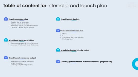 Table Of Content For Internal Brand Launch Plan Formats PDF
