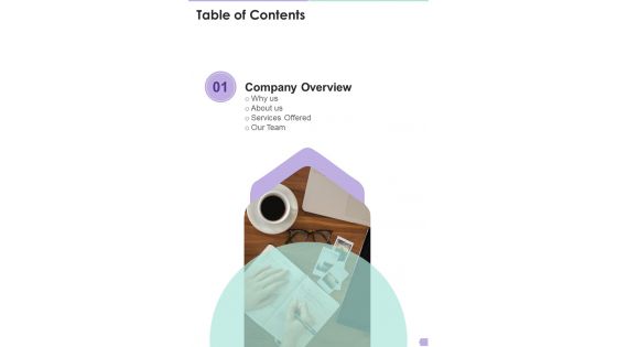 Table Of Contents Debt Management Process Proposal One Pager Sample Example Document Table Of Contents Debt Management Process Proposal One Pager Sample Example Document