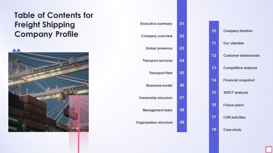 Table Of Contents For Freight Shipping Company Profile Microsoft PDF
