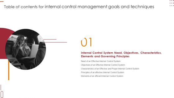 Table Of Contents For Internal Control Management Goals And Techniques System Formats PDF