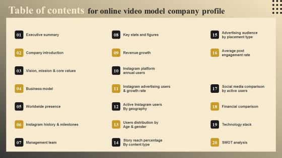 Table Of Contents For Online Video Model Company Profile Demonstration PDF
